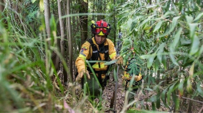 Bomberos y guardabosques recorren áreas verdes de Quito para prevenir incendios forestales